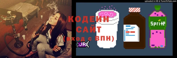 дмт Алексин