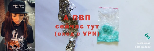 PSILOCYBIN Абаза