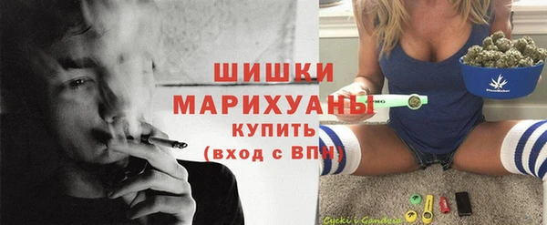 PSILOCYBIN Абаза