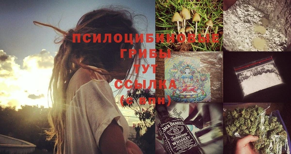 PSILOCYBIN Абаза