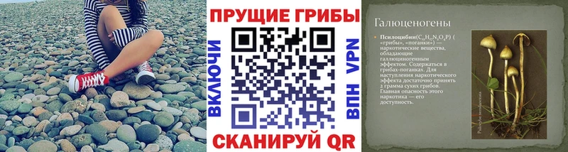 Галлюциногенные грибы Magic Shrooms МЕГА ссылки Гагарин