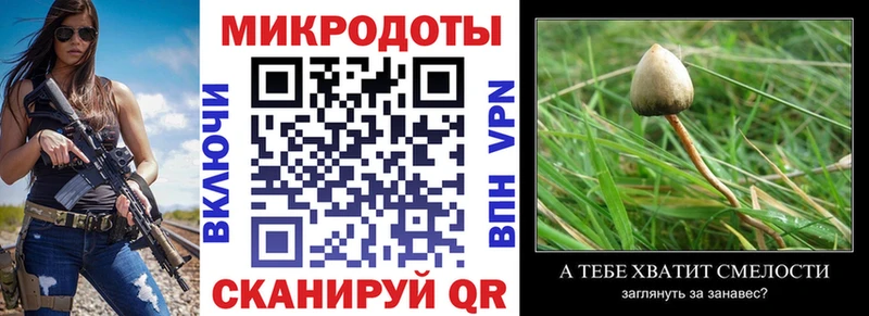 Псилоцибиновые грибы Cubensis Гагарин
